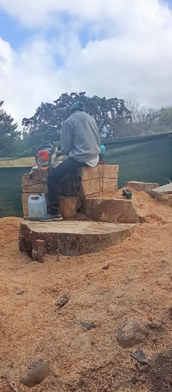 stump removal cape town