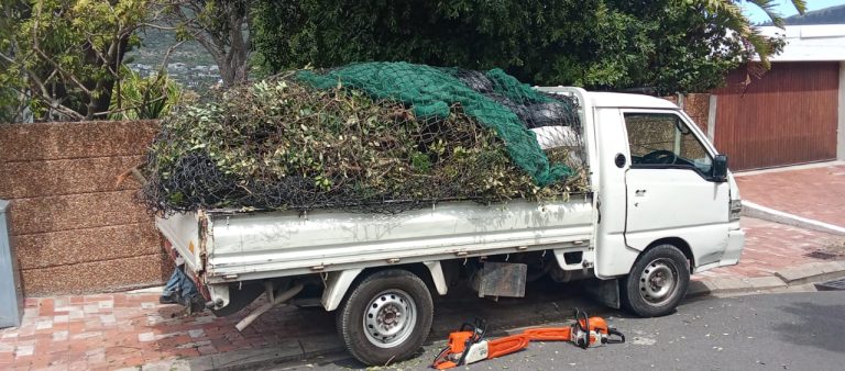 stump removal and transporting